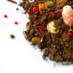 Amazon Crossing Eastern European Literature Kindle Book-0