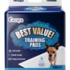 Absorlution Dog Training Pads Quick Drying Leak Proof-0